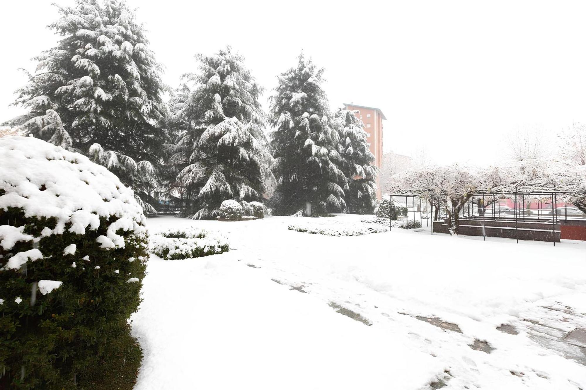 Ferienwohnung I Cedri Turin Exterior foto